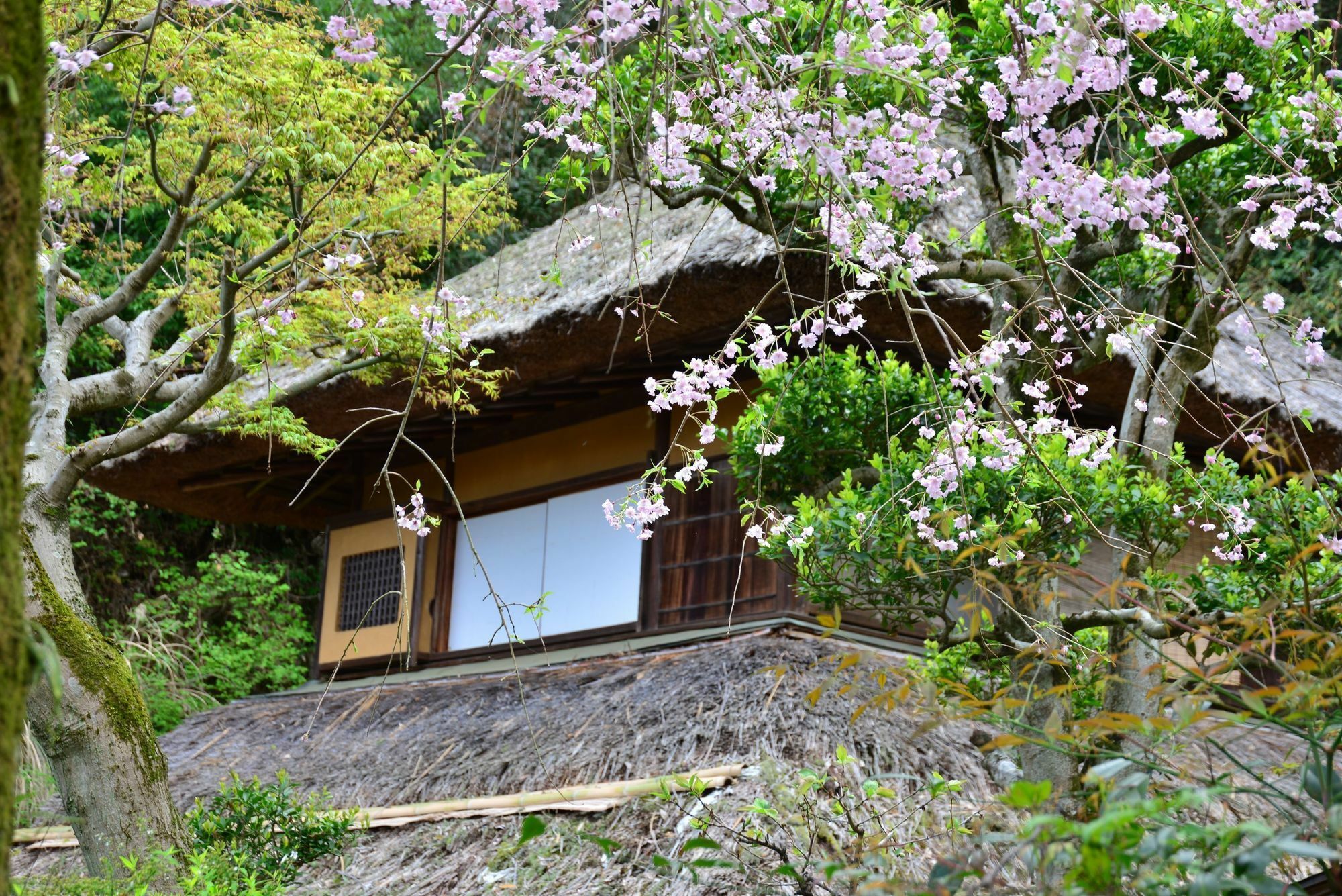 Kona Besso Hotel Izunokuni Buitenkant foto
